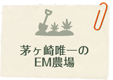 茅ヶ崎唯一のEM農場